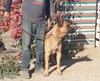 Duke G - Photo 5