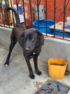 Bruno - Photo 5