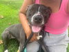 Nala - Photo 4