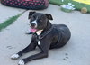 Nala - Photo 5