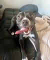 Nala - Photo 11