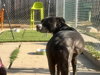 Nala - Photo 13