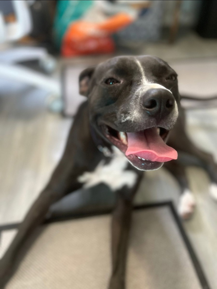 Nala
