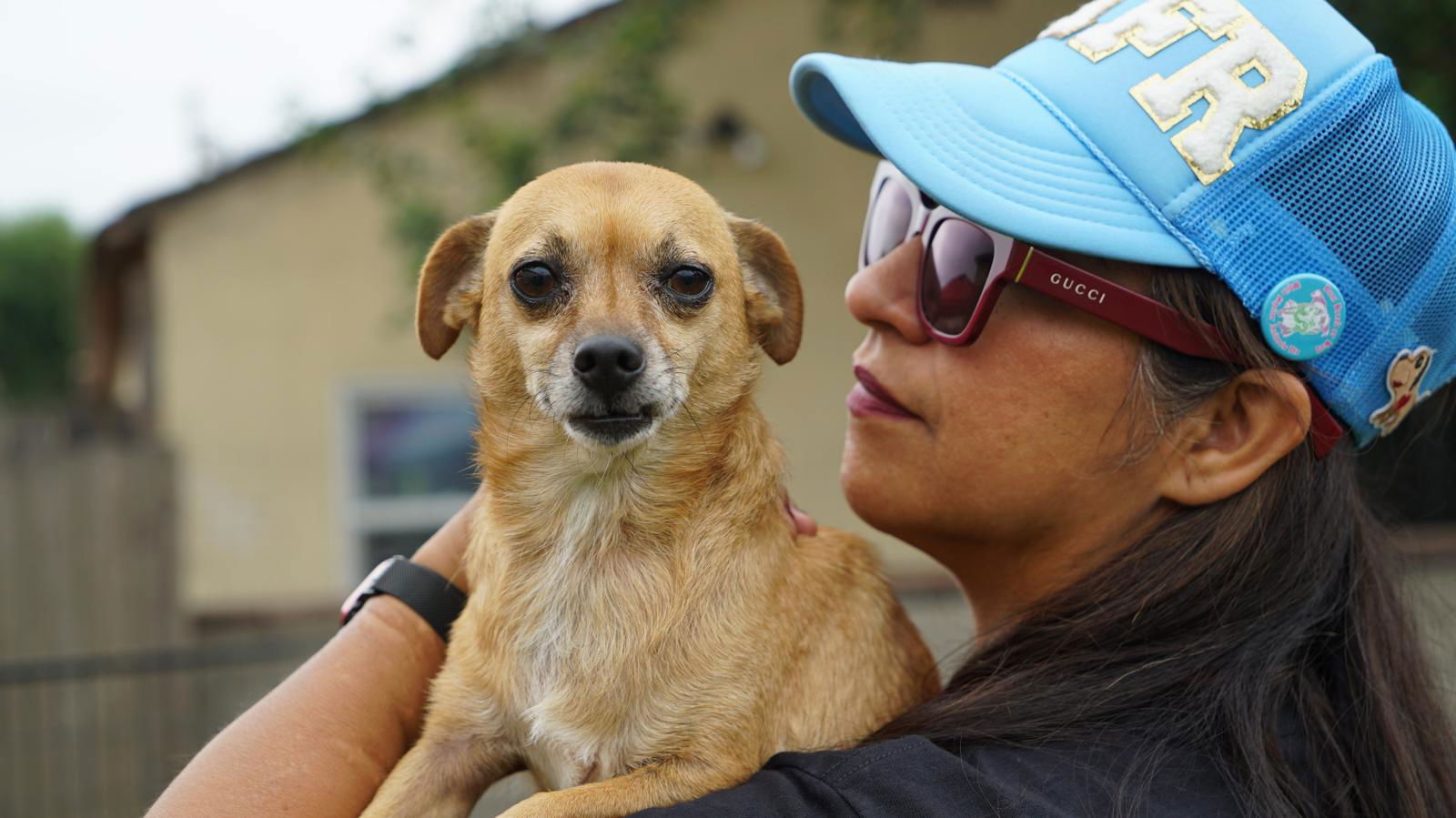 adoptable Dog in Inglewood, CA named Zee Bo