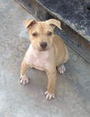 Rubencito - Photo 6