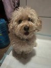 Benny - Photo 2