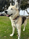 Micah - Photo 2