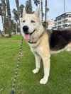 Micah - Photo 3