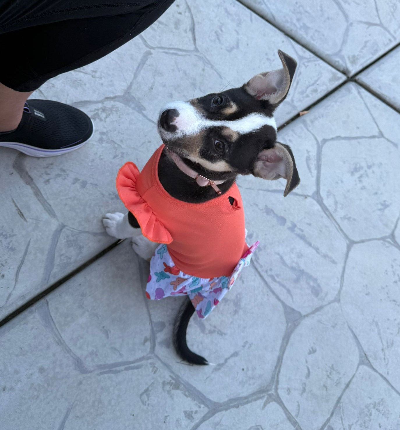 Lola O, photo 10