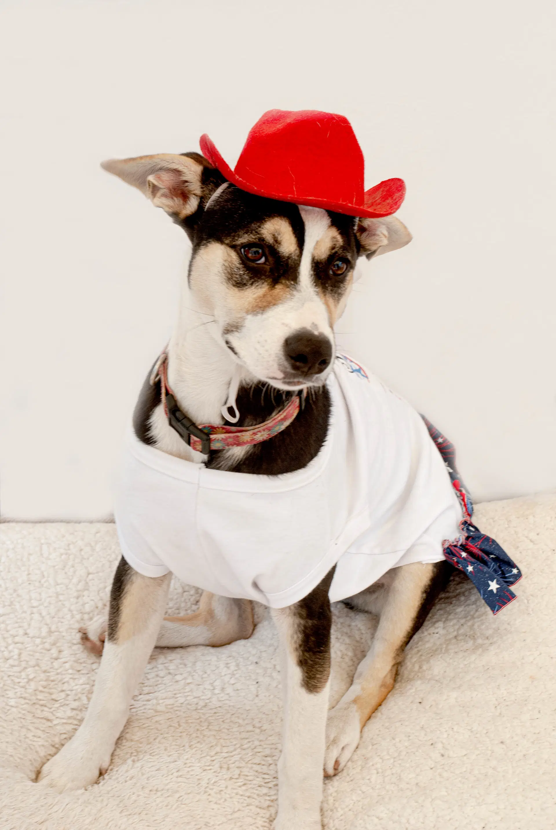 Lola M image 2