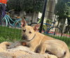 Egbert - Photo 5