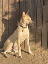 Egbert - Photo 1