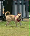Egbert - Photo 5