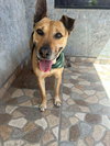 Charro - Photo 1