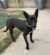 Maya - Photo 1