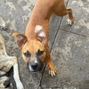 Bentley - Photo 5