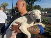 Harvey - Photo 8