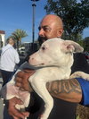 Harvey - Photo 9