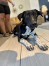 Cassidy - Photo 6