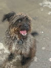 Lucy Boo - Photo 1