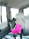Bella Stormy - Photo 4