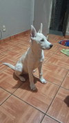 Teresita - Photo 3