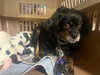 Maggie - Photo 5