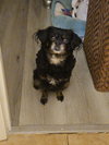 Maggie - Photo 2