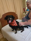 Maggie - Photo 4