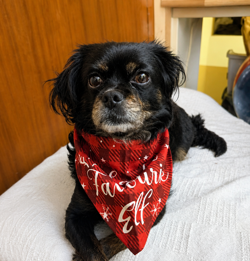 Maggie Image