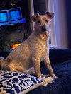 Luna Love - Photo 1