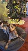 Luna Love - Photo 3