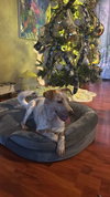 Luna Love - Photo 4
