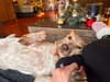 Luna Love - Photo 6