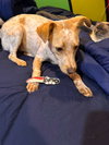 Luna Love - Photo 7