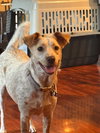 Luna Love - Photo 2