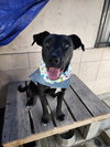 Baya - Photo 1