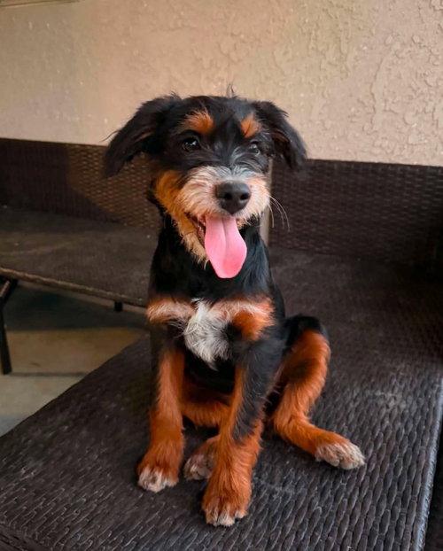 Molly