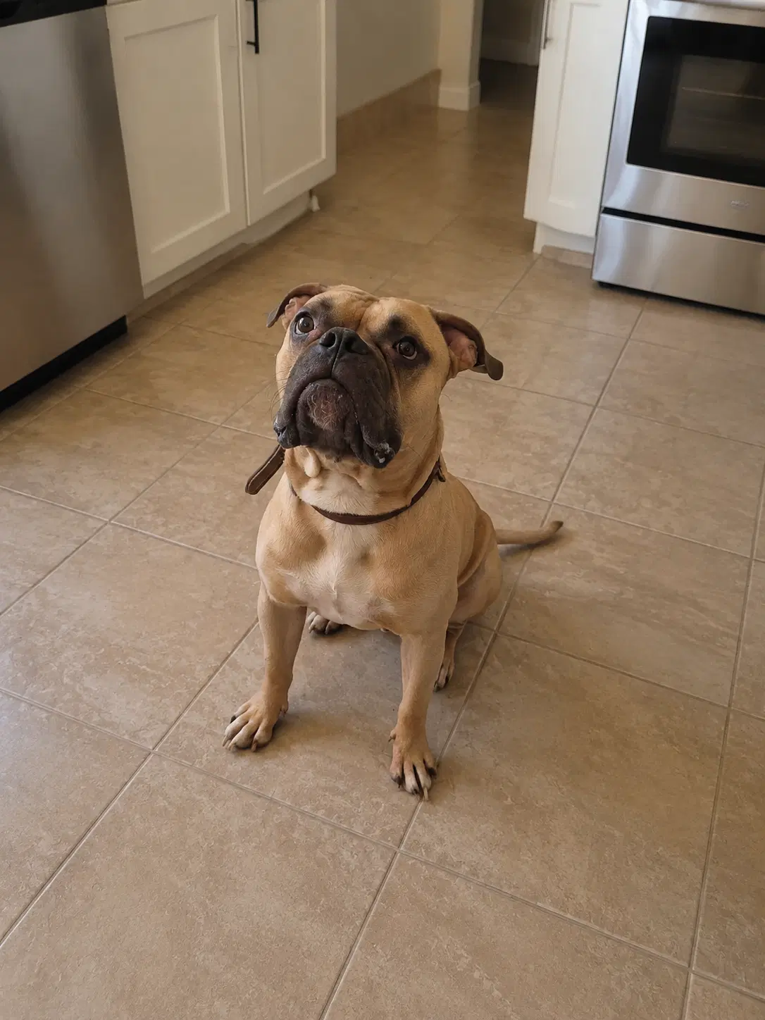 Iggy G image 3