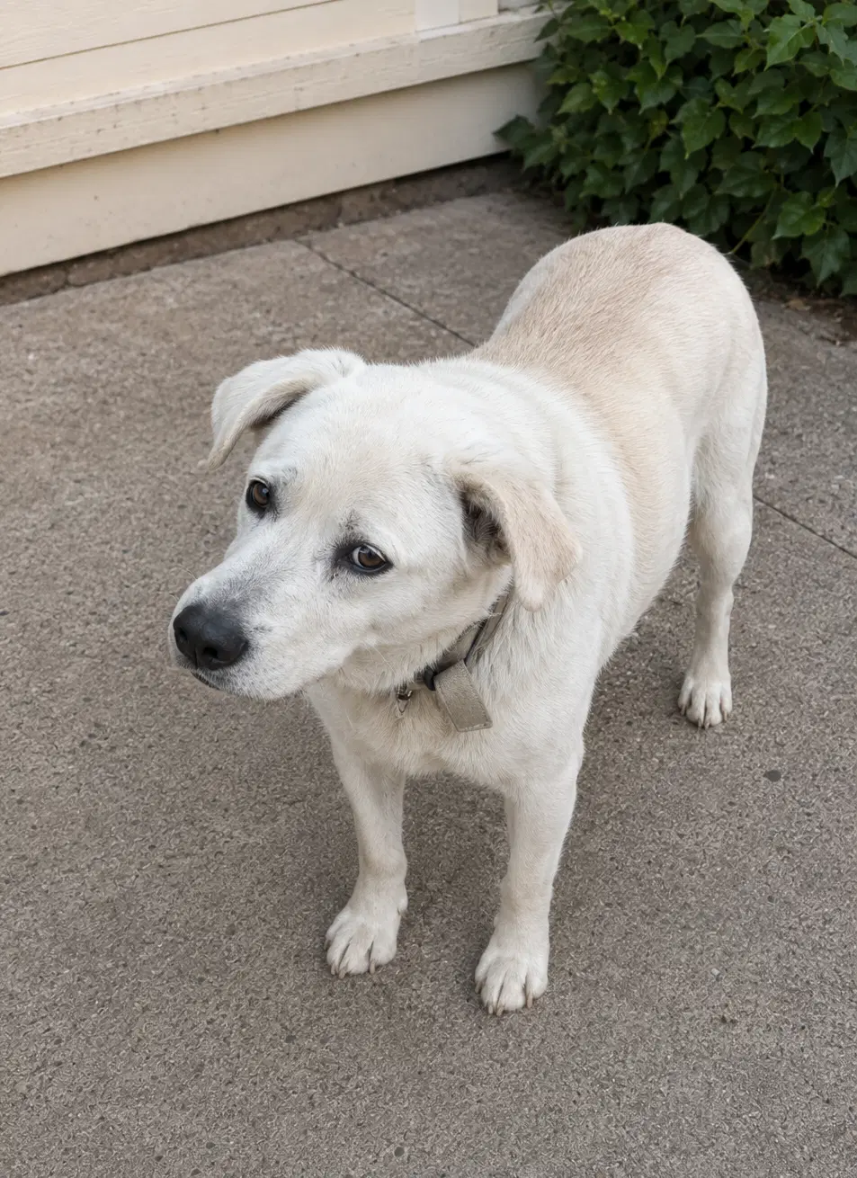 Maxx image 2