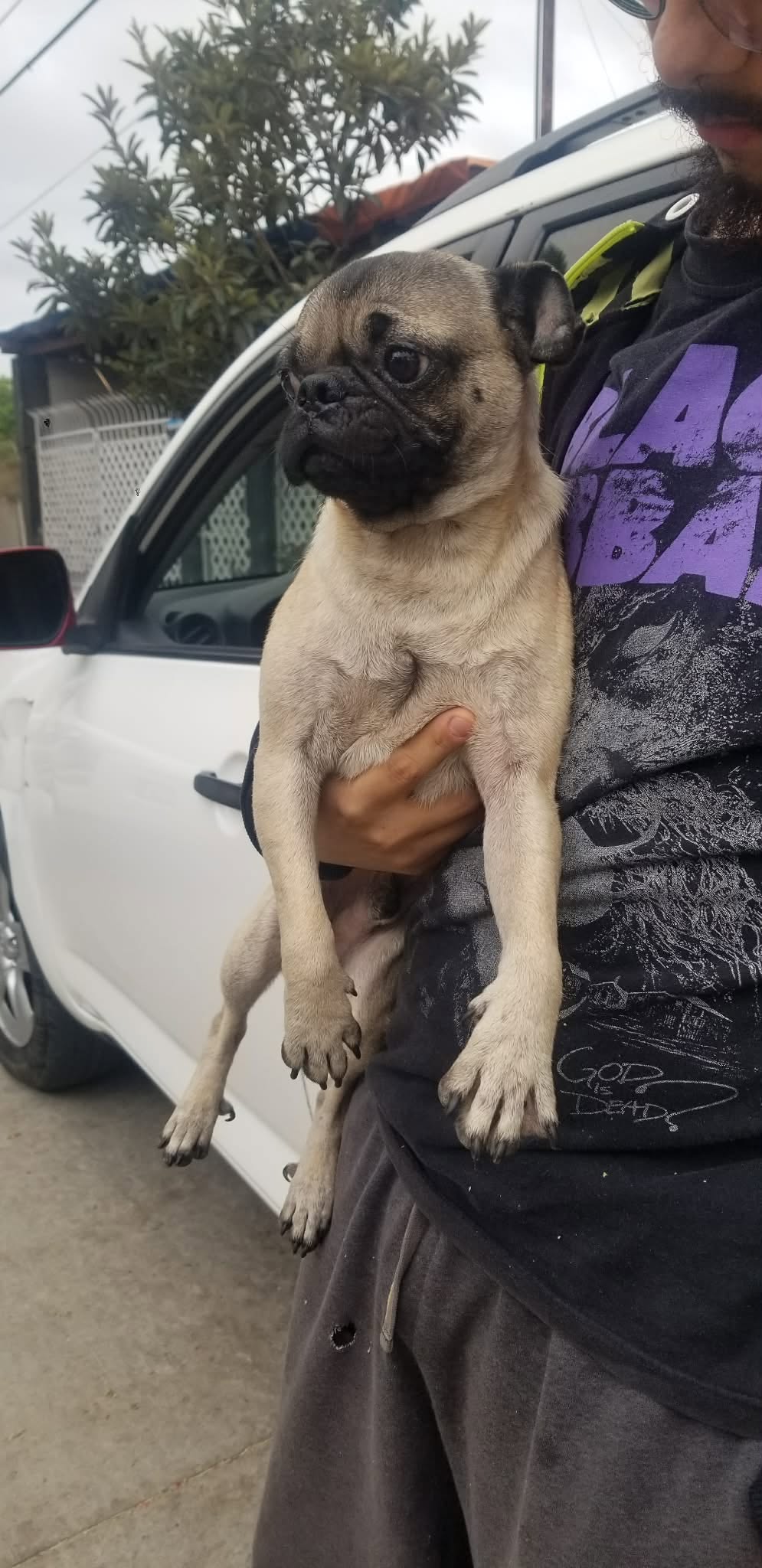Newton, photo 2