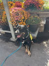 VITO - Photo 2