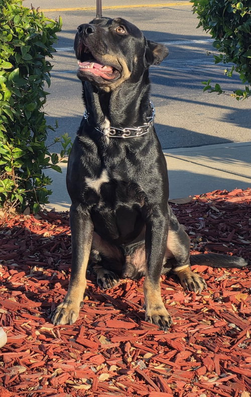 VITO photo 6
