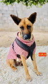 LULU - Photo 2