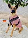 LULU - Photo 3