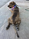EYORE - Photo 4