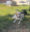 MIGUEL - Photo 2