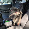 ZEUS - Photo 3