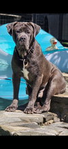 ZEUS - Photo 4