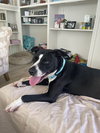 PATTI - Photo 2